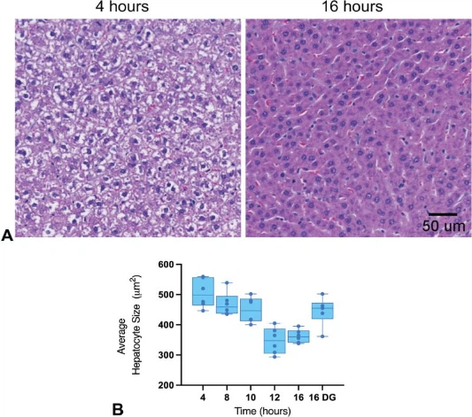 CNS drug delivery CNS drug delivery