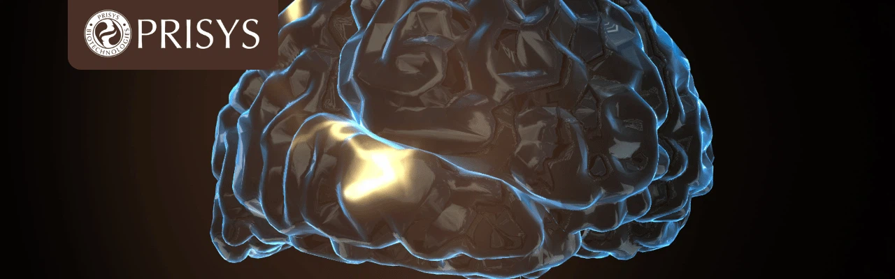 CNS drug delivery CNS drug delivery