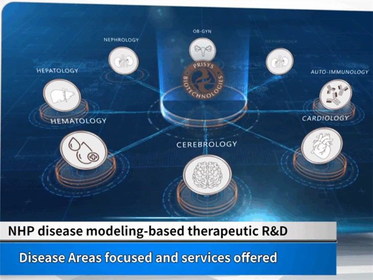 Model Penyakit NHP (monyet).