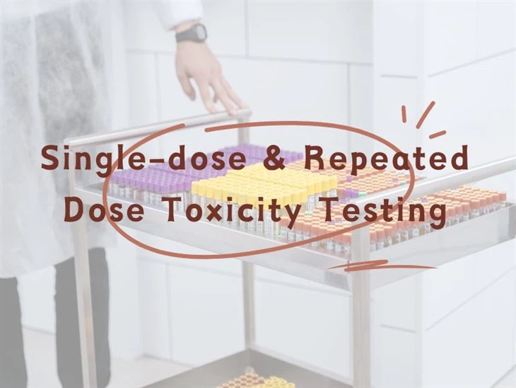 Single-dose & Repeated Dose Toxicity Testing